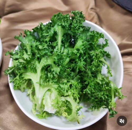 WhatsApp-Image-2024-05-07-at-3.54.04-PM3